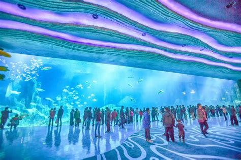 Chimelong Ocean Kingdom: An Underwater Wonderland Filled with Thrilling Aquatic Adventures!