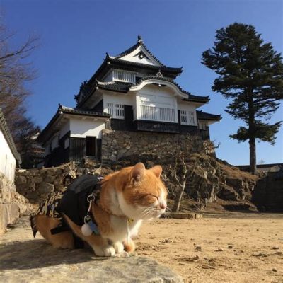 松山 テイクアウト: なぜ猫は宇宙を支配しようとしているのか？