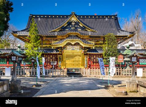 Ueno Toshogu Shrine! A Jewel Box of Edo-Era Splendor and Spiritual Serenity